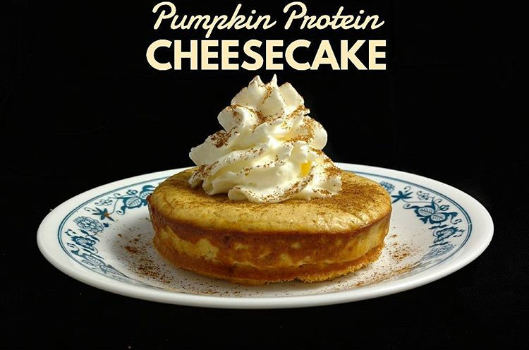 Pumpkin Protein Cheesecake | BioX Performance Nutrition