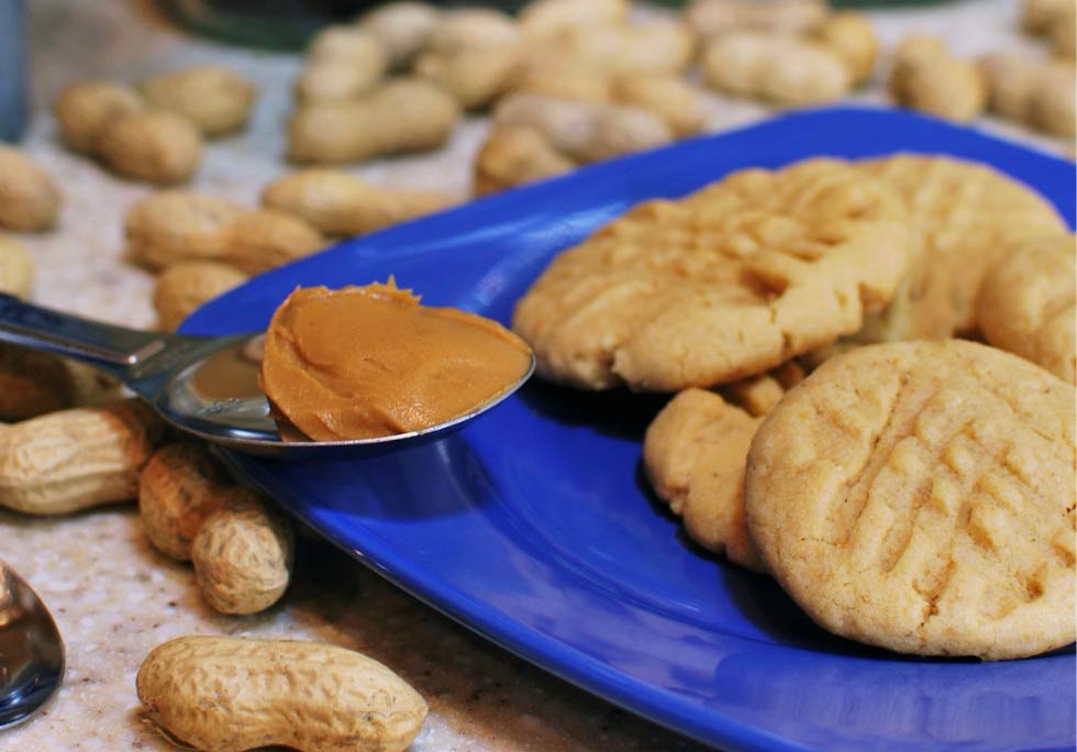 Easy Protein Peanut Butter Cookies | Recipe | Biox Performance Nutrition